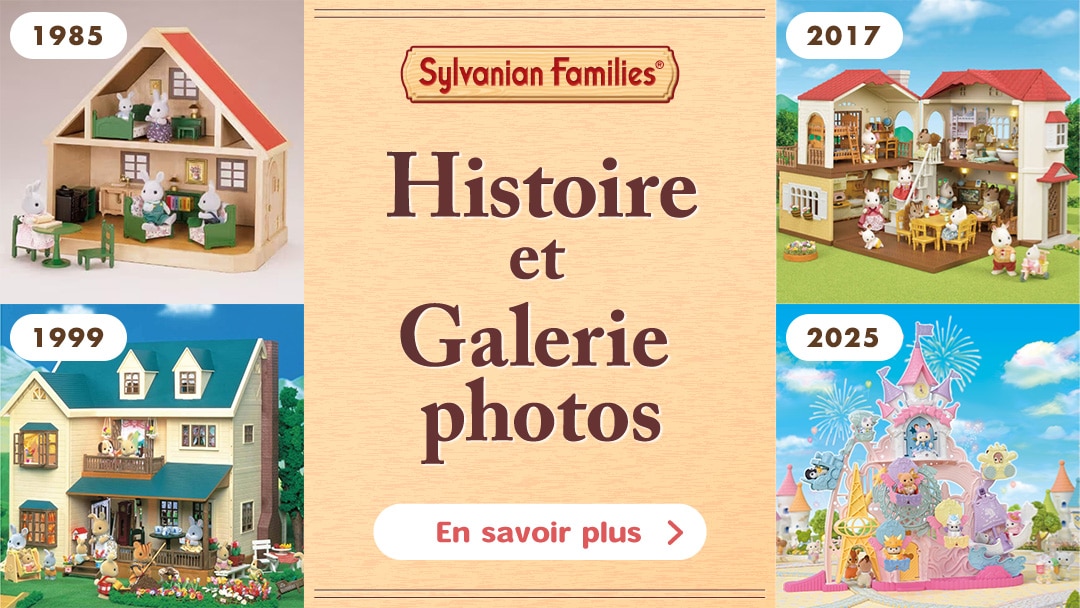 Histoire et Galerie photos