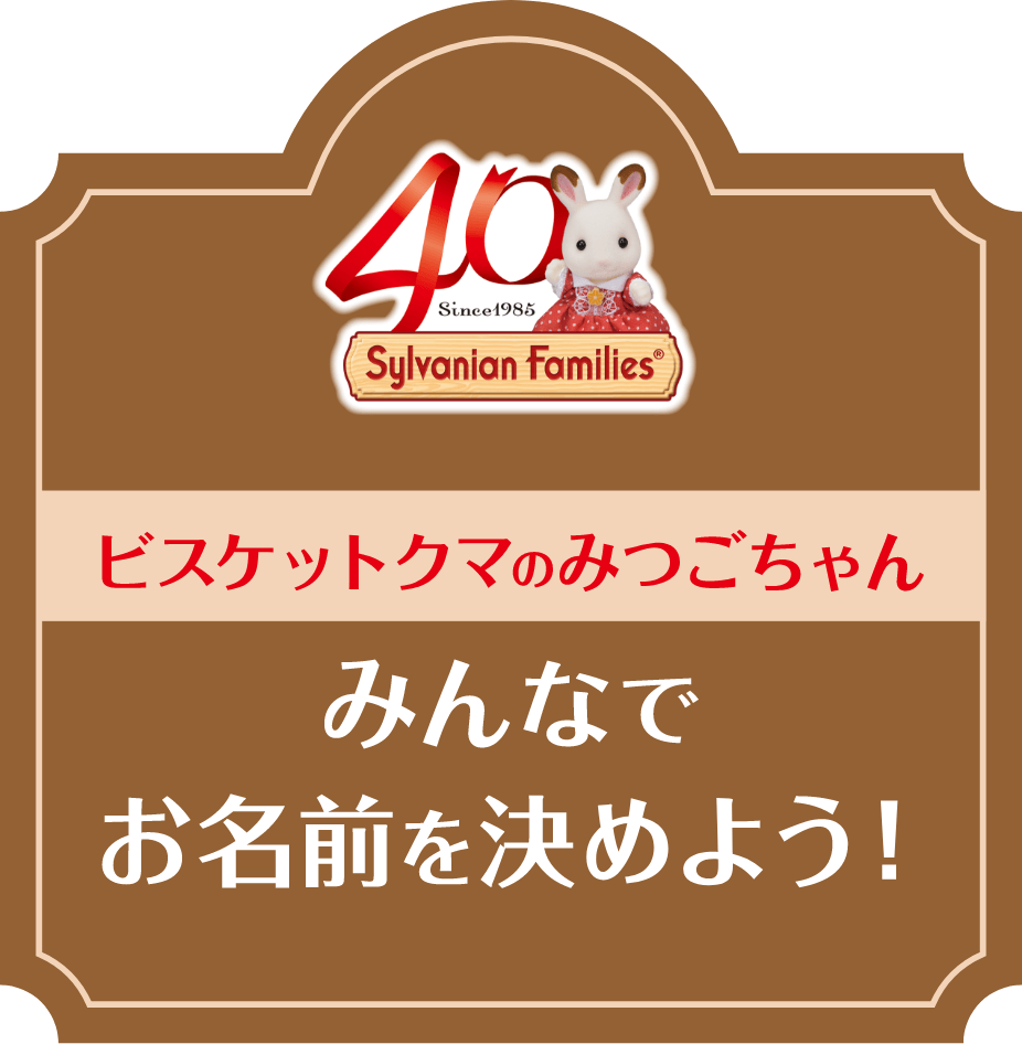 40th ANNIVERSARY SPECIAL SITE ビスケットクマのみつごちゃん みんなでお名前を決めよう！
