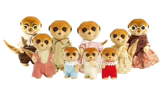 Meerkat Family