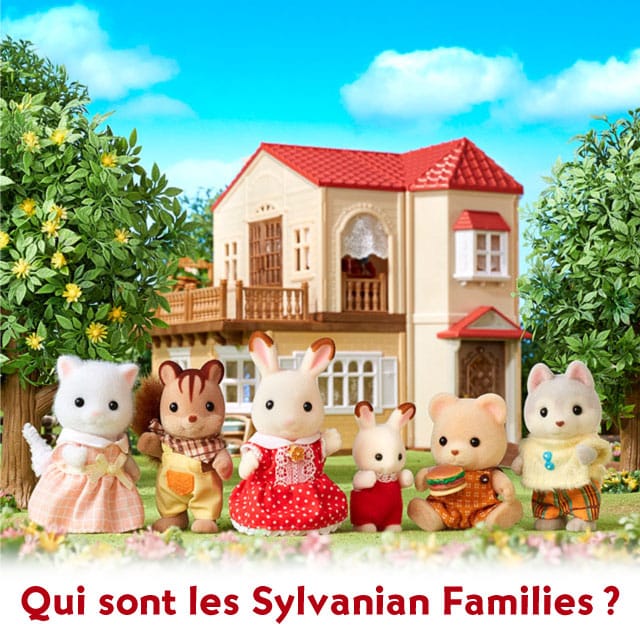 Sylvanian Families Fun Life avec une belle maison, des meubles et des  aliments miniatures Livre d'artisanat japonais -  France