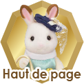 Haut de page