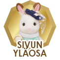 SIVUN YLÄOSA