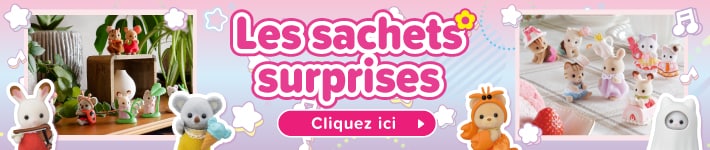 Sachets Surprises
