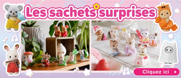 Sachets Surprises