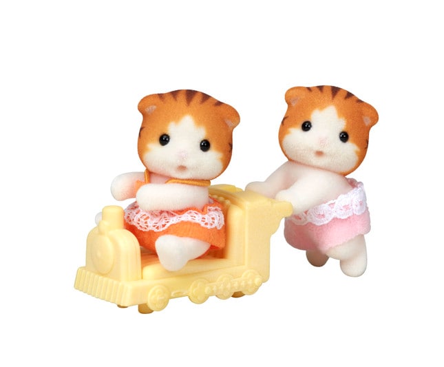 楓糖貓雙胞胎 - 3
