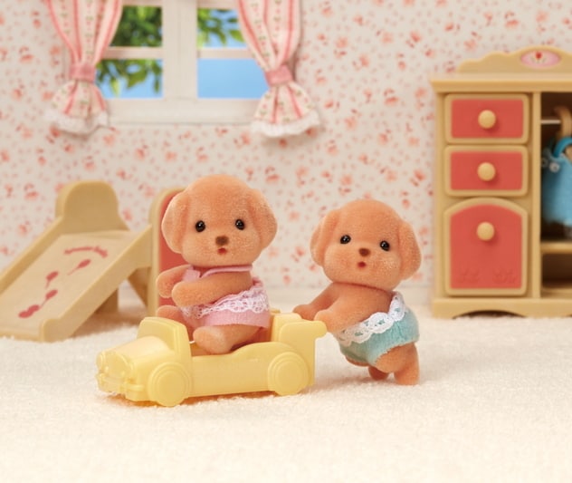 Δίδυμα Μωρά Toy Poodle (5425) - 4