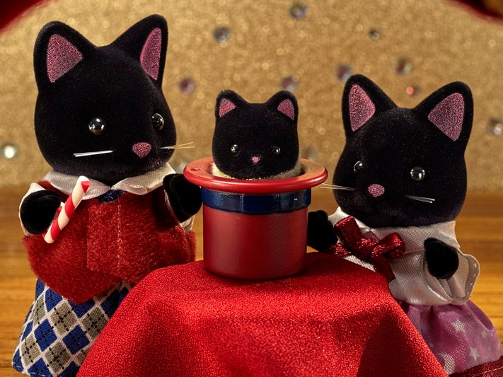 La famille Chat Magicien - 5