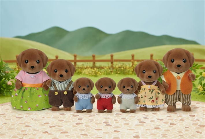 Chocolate Labrador Family - 3