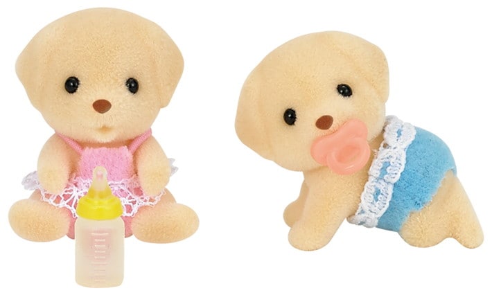 Yellow Labrador Twins - 4