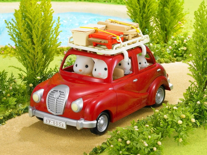 Roof Rack with Picnic Set - 5