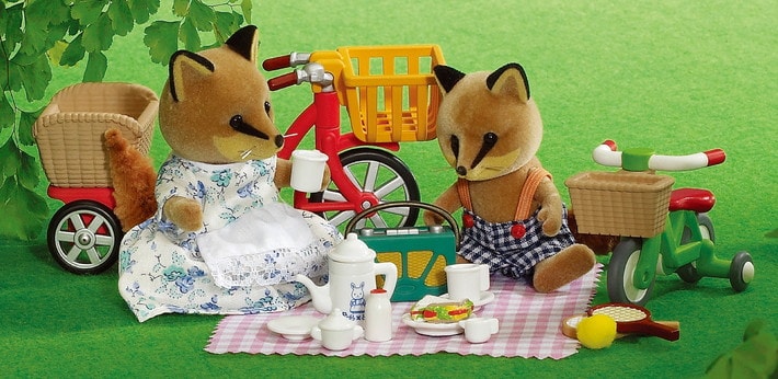 Bikes & Picnic Set - 8