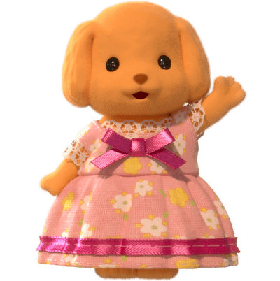 Toy Poodle Sister