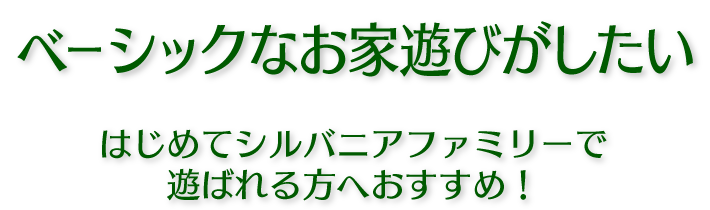 ベーシックなお家遊びがしたい！