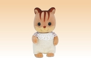 くるみリスの赤ちゃん