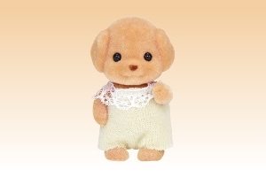 トイプードルの赤ちゃん