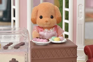 トイプードルのお姉さん