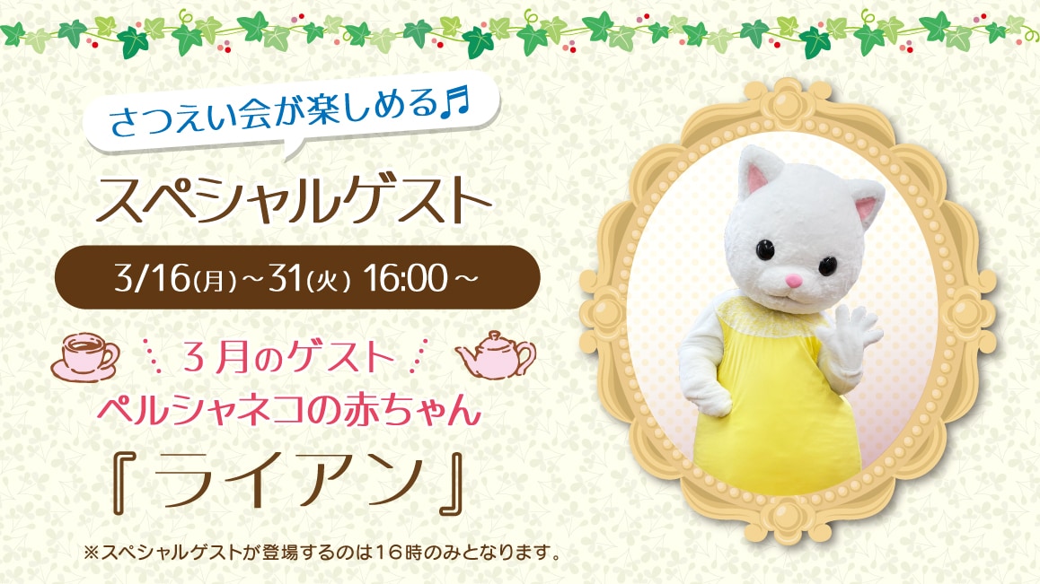マスコットのスペシャルゲスト 3/16(月)～3/31(火)16:00～ 3月のゲスト ペルシャネコの赤ちゃん『ライアン』※ゲストが登場するのはティータイムの時間（16時）のみとなります