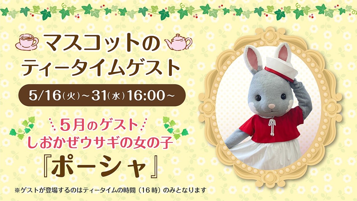 マスコットのティータイムゲスト 5/16（火）～31（水）16:00～ 5月のゲスト しおかぜウサギの女の子『ポーシャ』※ゲストが登場するのはティータイムの時間（16時）のみとなります