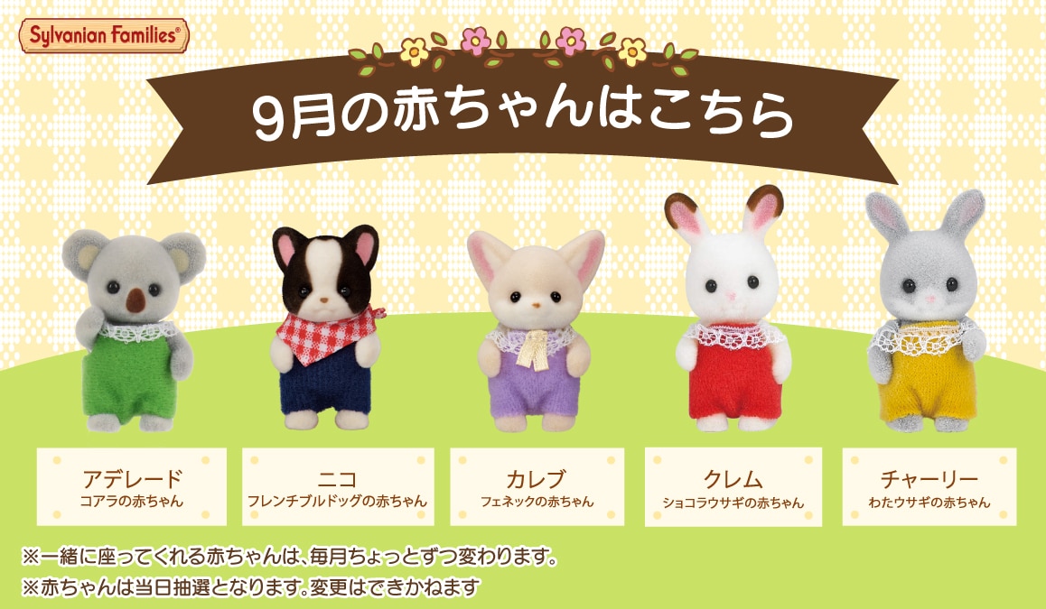 今月の赤ちゃんたちはこちら