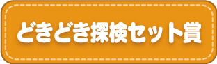 どきどき探検セット賞