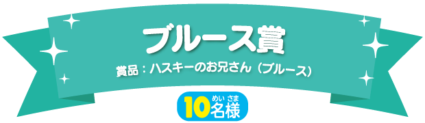 ブルース賞（10名様）賞品：ハスキーのお兄さん（ブルース）