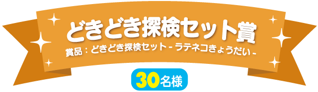 どきどき探検セット賞（30名様）賞品：どきどき探検セット-ラテネコきょうだい-