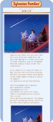 별똥별의 선물