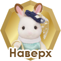 Наверх