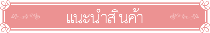 แนะนำสินค้า