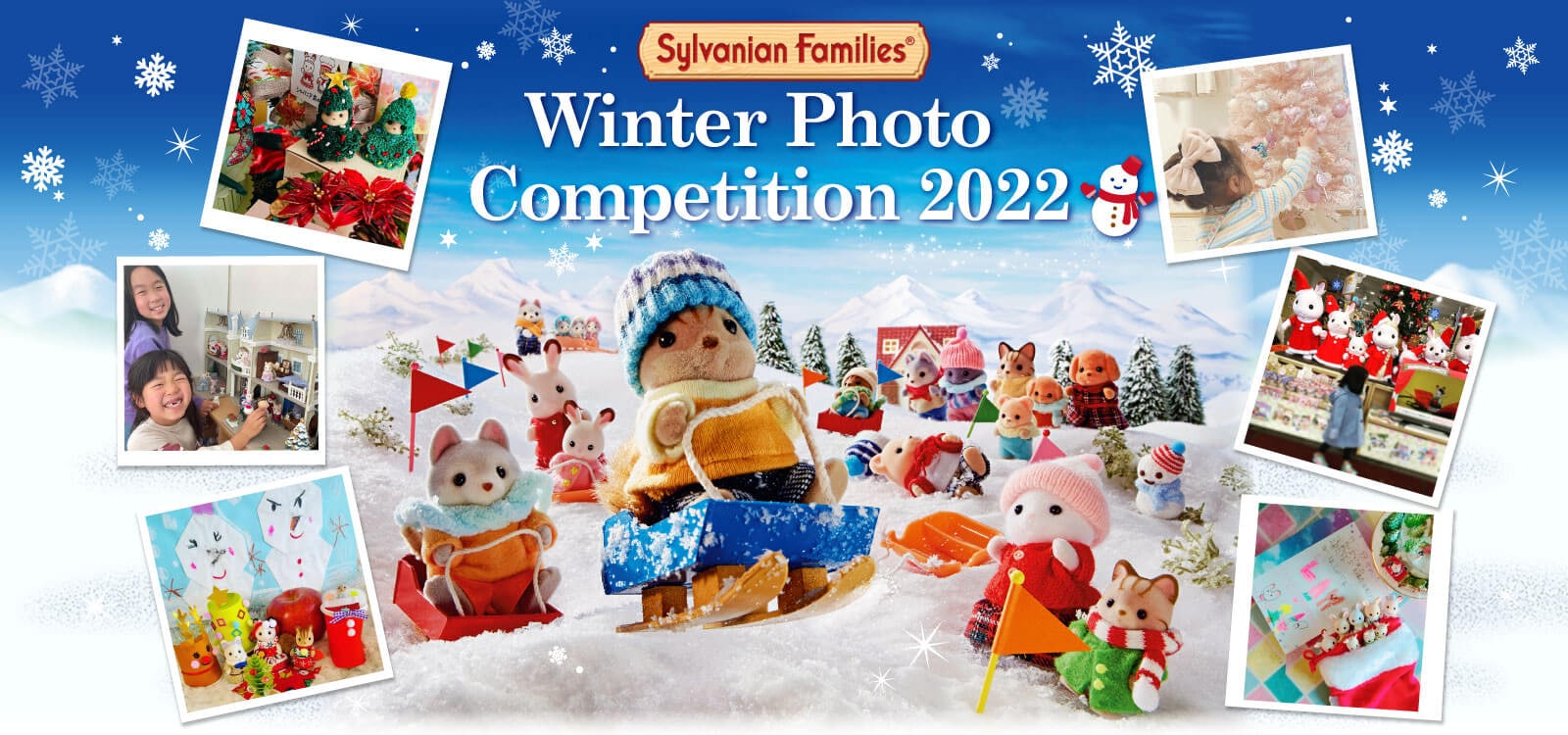 Winter Photo Competition 2022